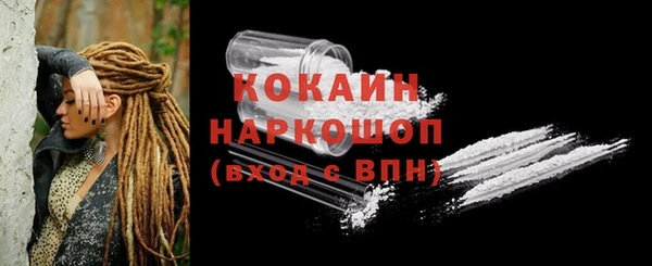 сатива Дмитров