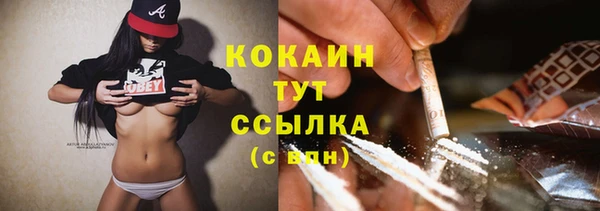 сатива Дмитров