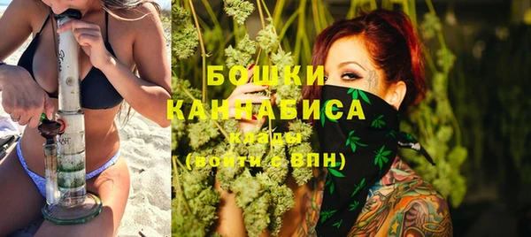 сатива Дмитров