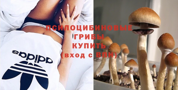 сатива Дмитров