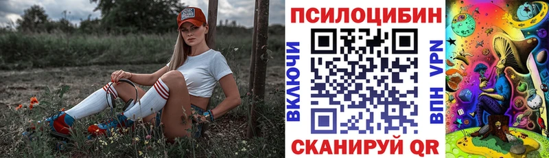 что такое Черепаново Псилоцибиновые грибы мицелий